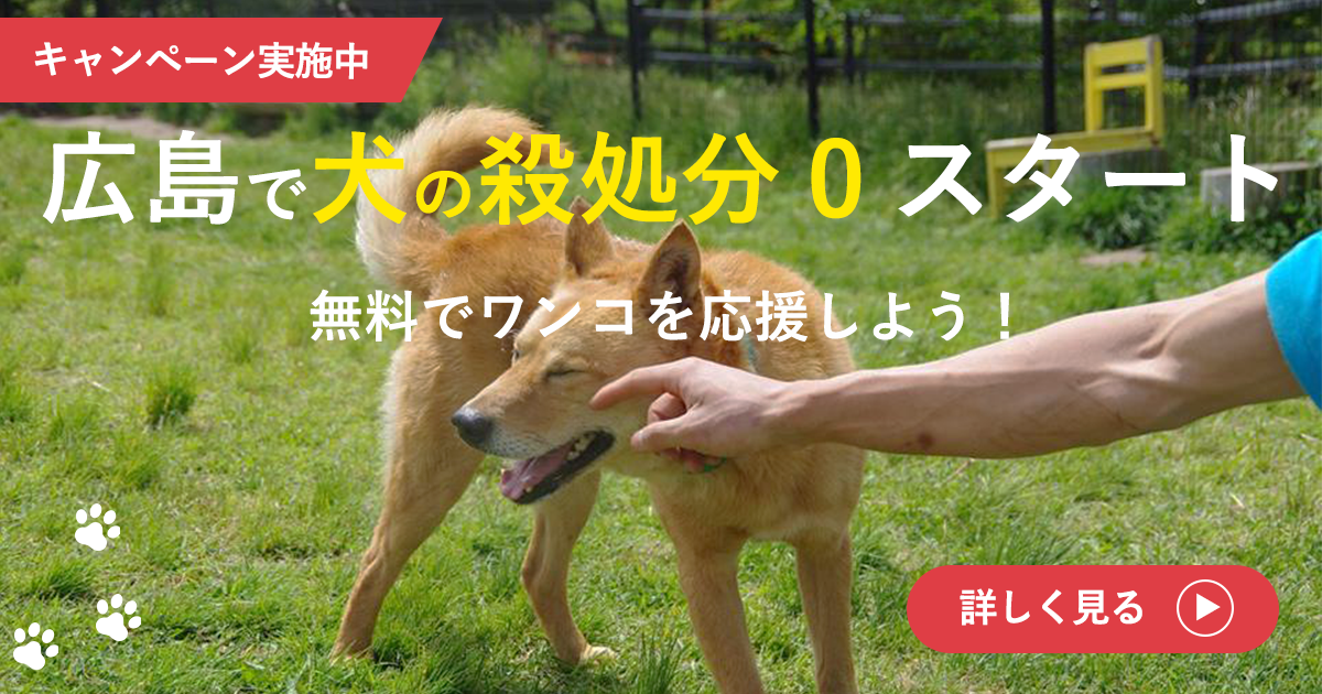 広島で犬の殺処分0スタート 無料でワンコの支援しよう