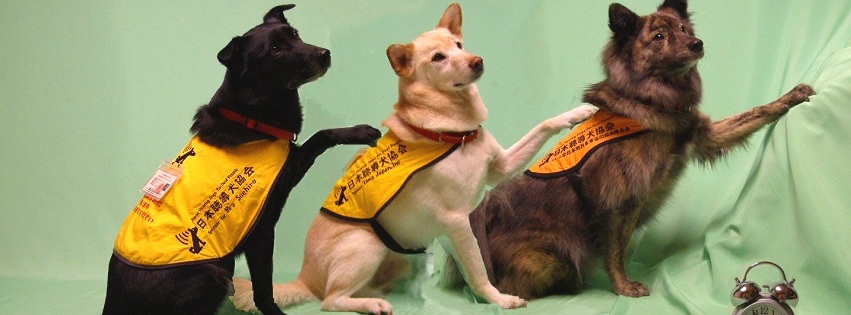 社会福祉法人 日本聴導犬協会