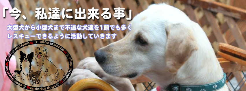 NPO法人 Wonderful Dogs
